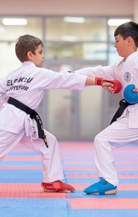 08-karate