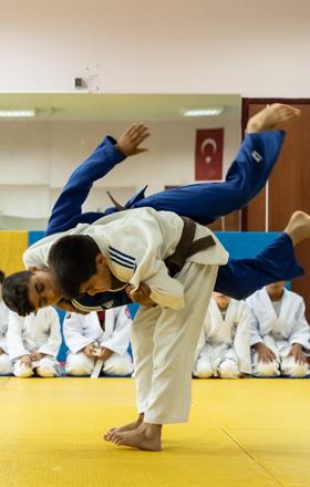 11-judo